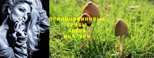 MDMA Богородицк