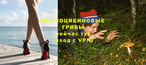 MDMA Богородицк