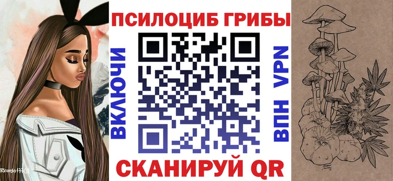 где найти наркотики  Няндома  Псилоцибиновые грибы прущие грибы 